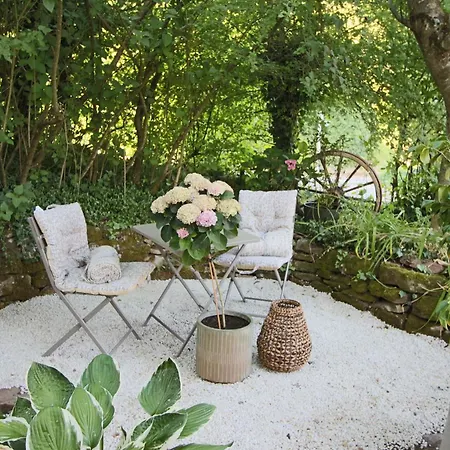 Quiet Rural With Lots Of Nature Apartment
